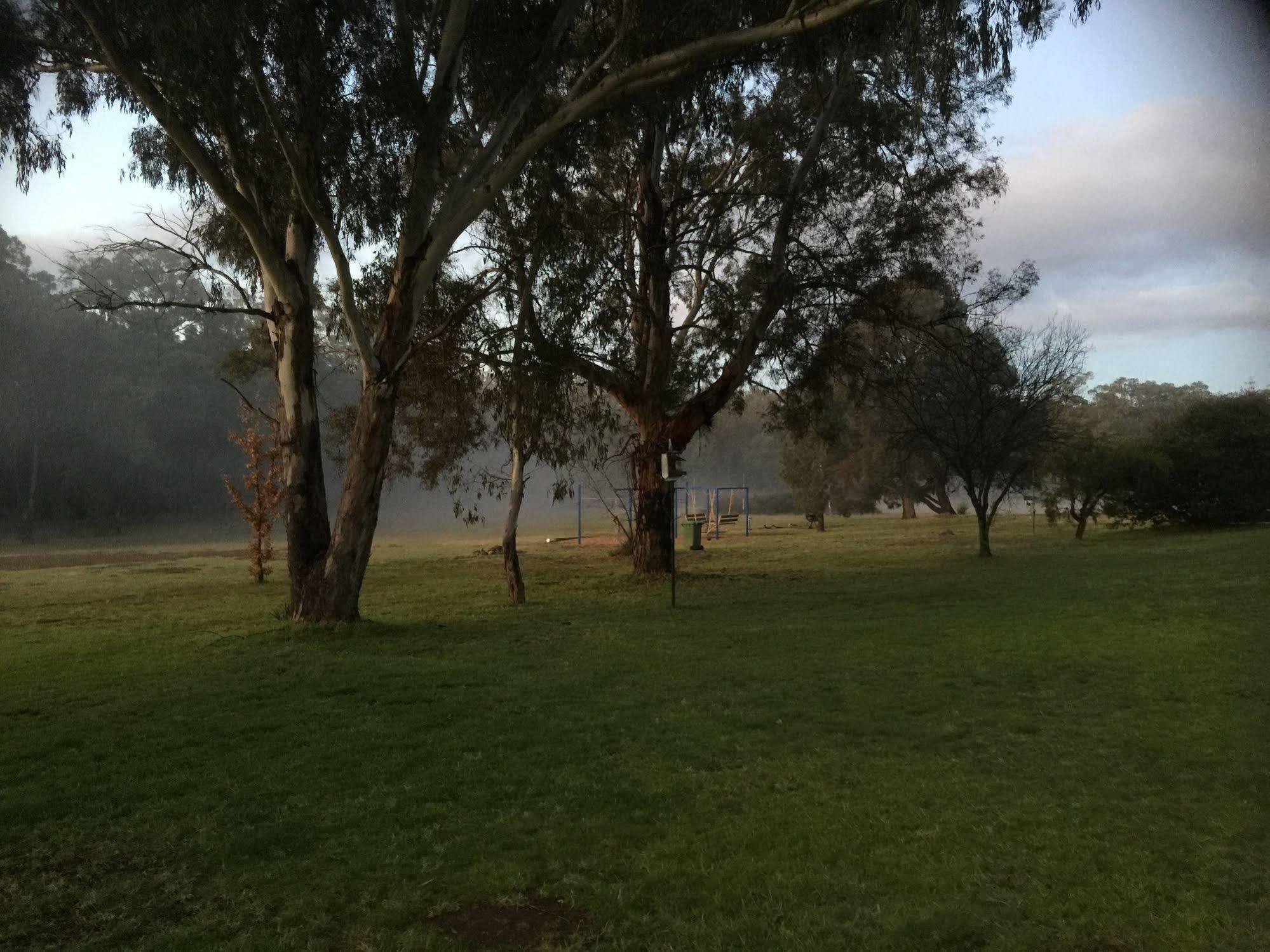 קונאבאראבן Warrumbungles Mountain Motel מראה חיצוני תמונה