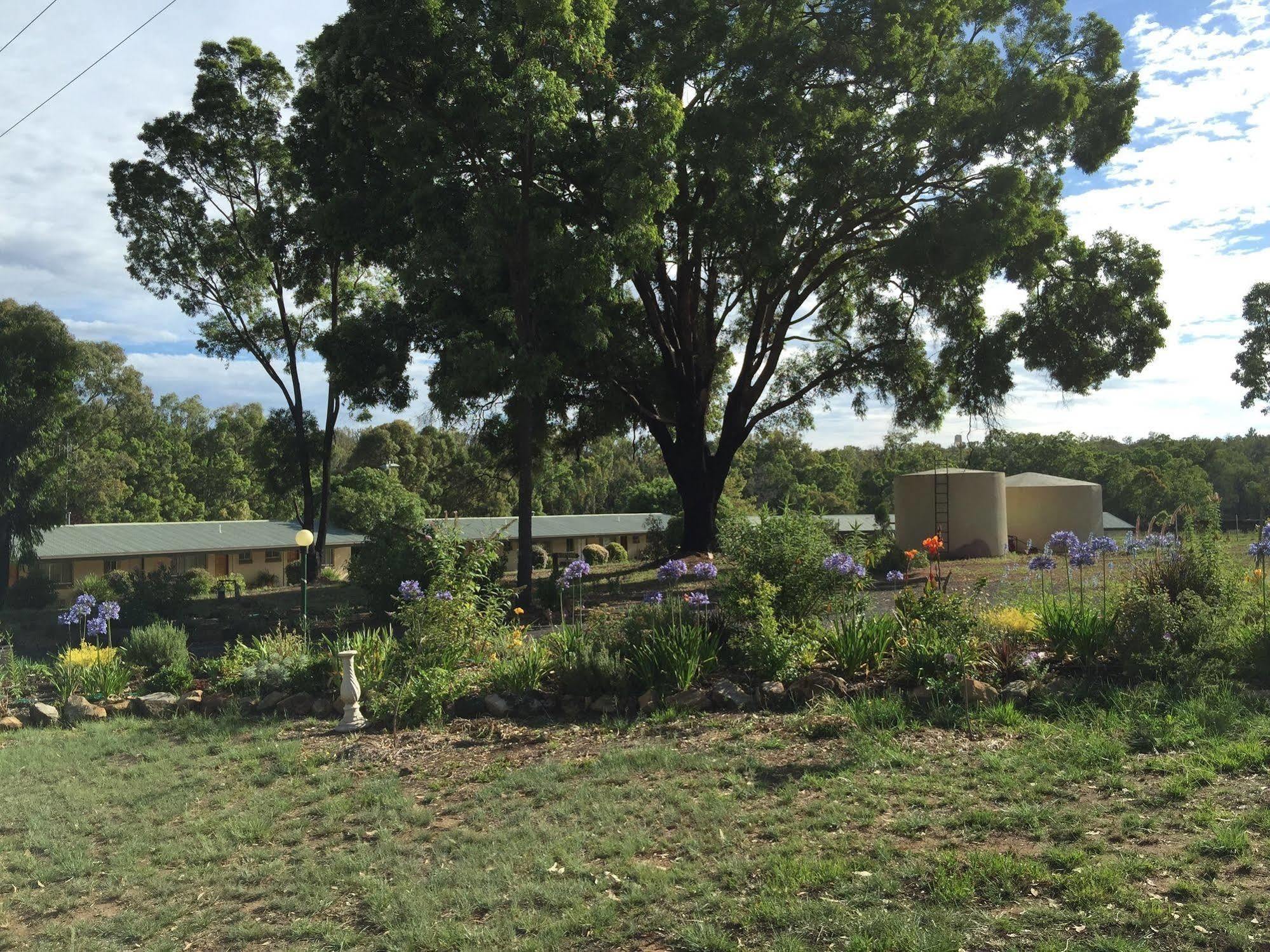 קונאבאראבן Warrumbungles Mountain Motel מראה חיצוני תמונה
